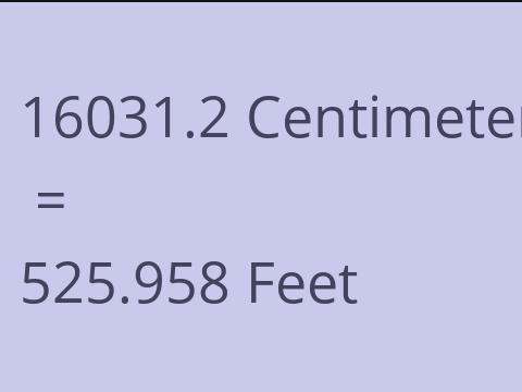 16031.2 CM TO FEET
