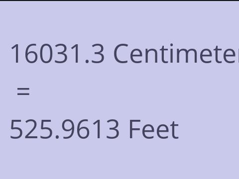 16031.3 CM TO FEET