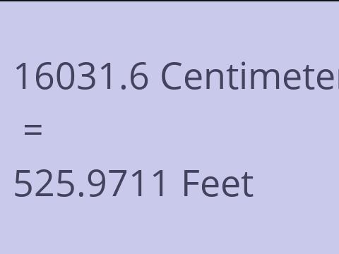 16031.6 CM TO FEET