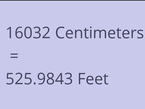 16032 CM TO FEET