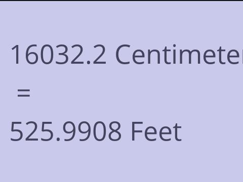 16032.2 CM TO FEET