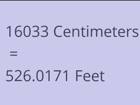 16033 CM TO FEET