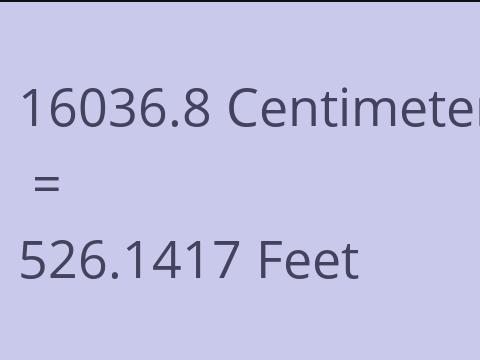 16036.8 CM TO FEET