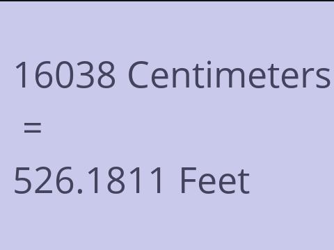 16038 CM TO FEET