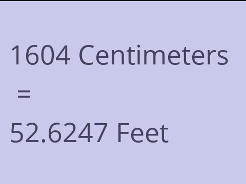 1604 CM TO FEET