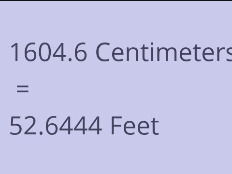 1604.6 CM TO FEET