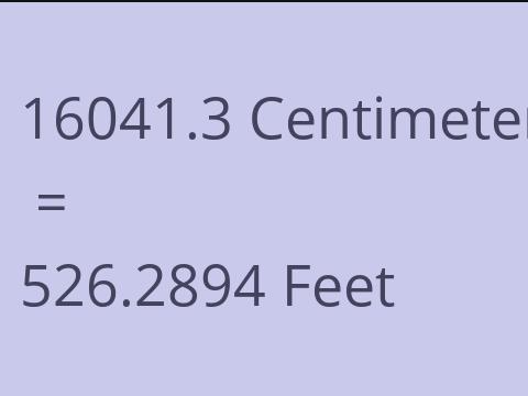 16041.3 CM TO FEET