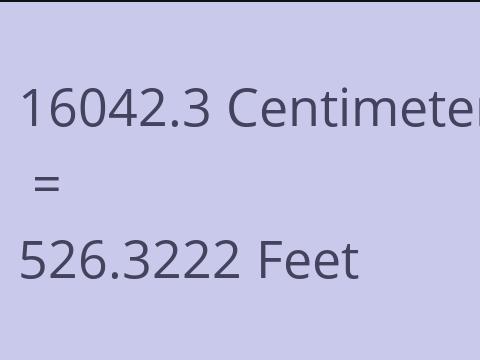 16042.3 CM TO FEET