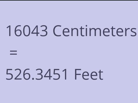 16043 CM TO FEET