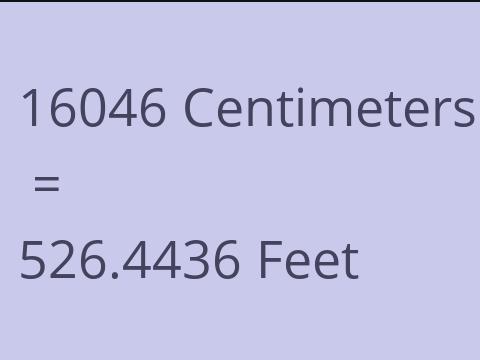 16046 CM TO FEET