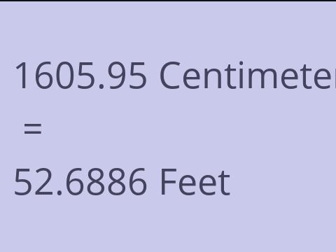 1605.95 CM TO FEET