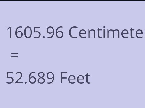 1605.96 CM TO FEET