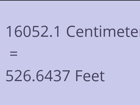 16052.1 CM TO FEET