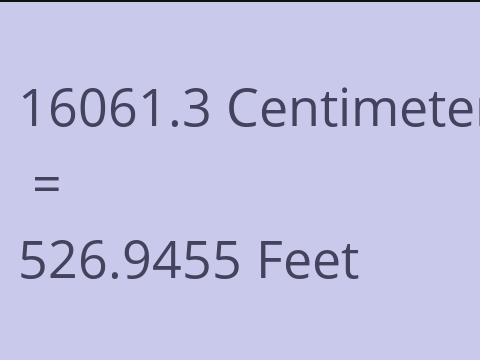 16061.3 CM TO FEET