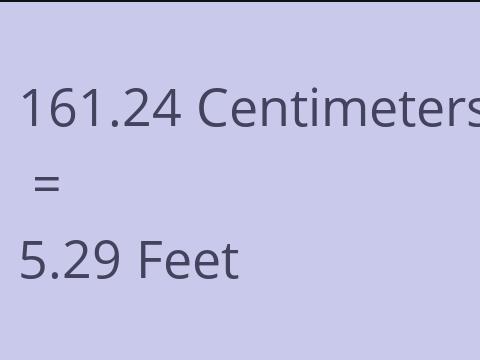 161.24 CM TO FEET