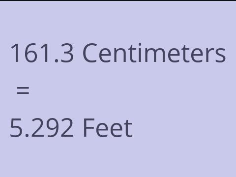 161.3 CM TO FEET