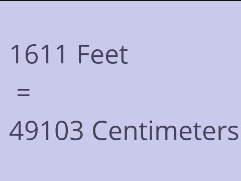 1611 FEET TO CM