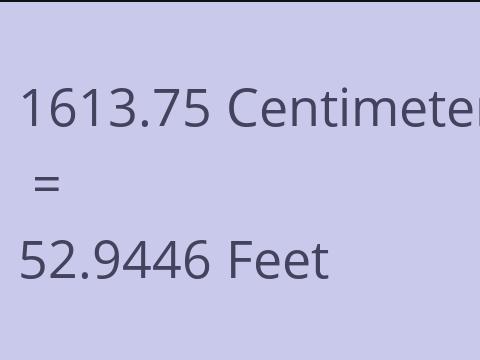 1613.75 CM TO FEET