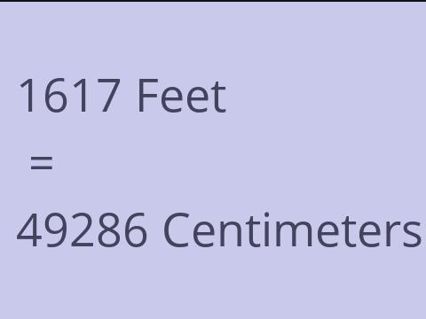 1617 FEET TO CM