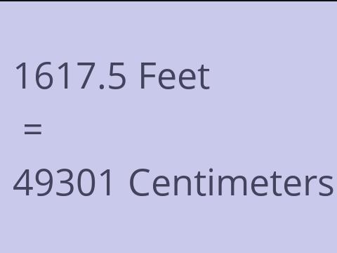 1617.5 FEET TO CM