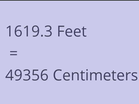 1619.3 FEET TO CM