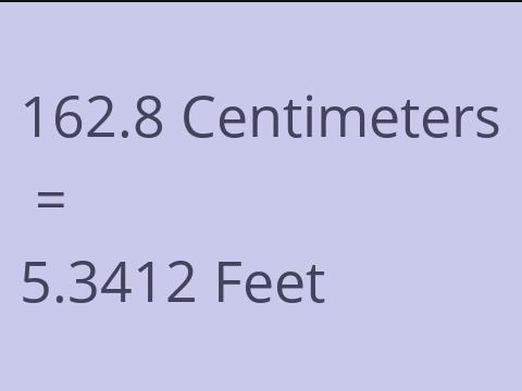 162.8 CM TO FEET