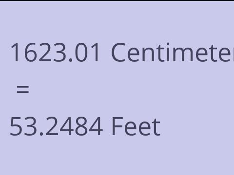 1623.01 CM TO FEET