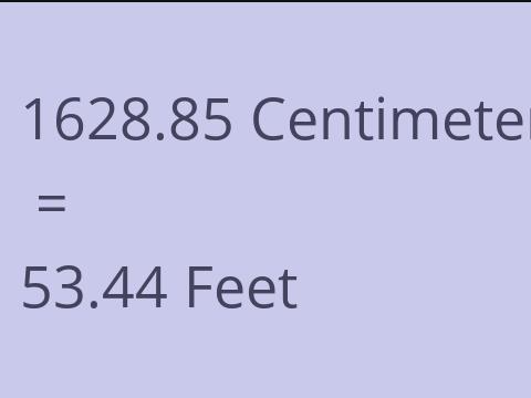 1628.85 CM TO FEET