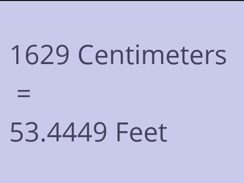 1629 CM TO FEET