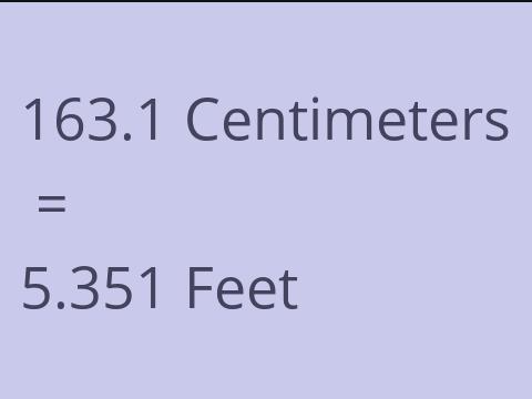 163.1 CM TO FEET