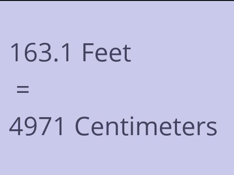 163.1 FEET TO CM