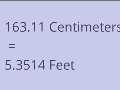 163.11 CM TO FEET