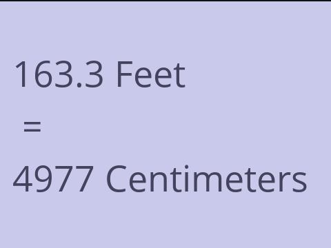 163.3 FEET TO CM