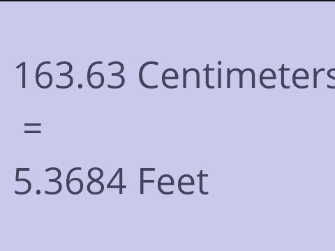 163.63 CM TO FEET