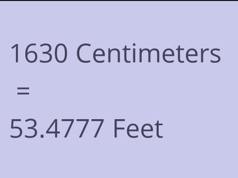 1630 CM TO FEET