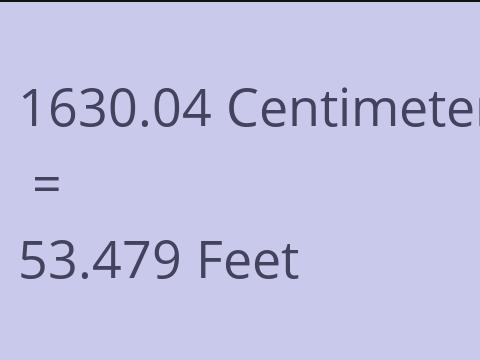 1630.04 CM TO FEET