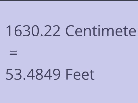 1630.22 CM TO FEET