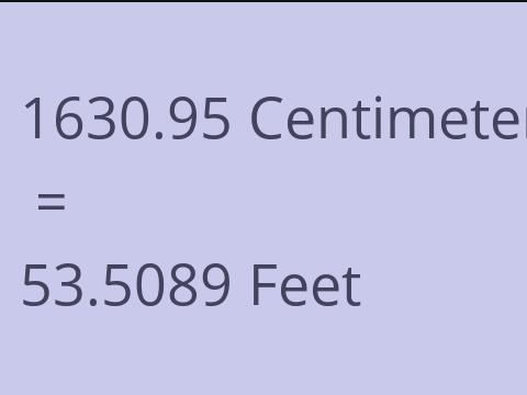 1630.95 CM TO FEET