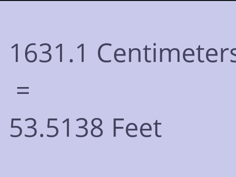 1631.1 CM TO FEET