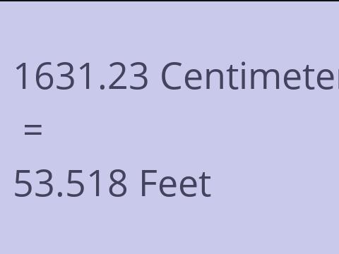 1631.23 CM TO FEET