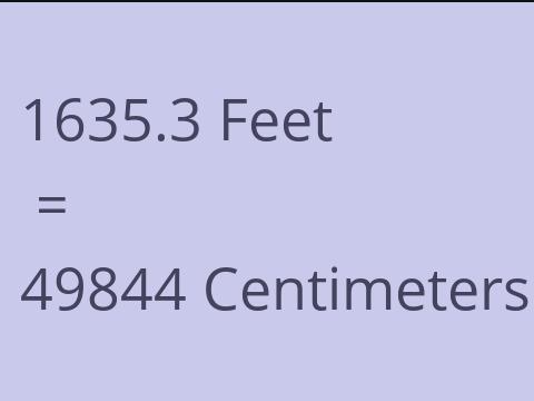 1635.3 FEET TO CM