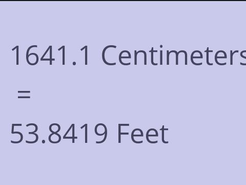 1641.1 CM TO FEET