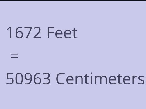 1672 FEET TO CM