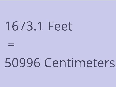 1673.1 FEET TO CM