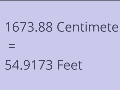 1673.88 CM TO FEET