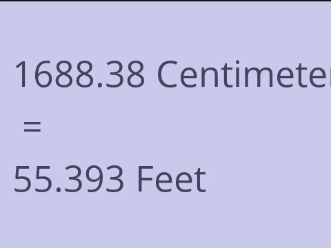 1688.38 CM TO FEET