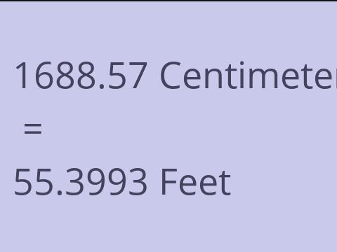 1688.57 CM TO FEET