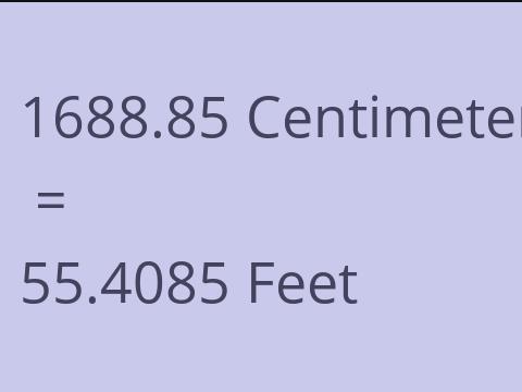 1688.85 CM TO FEET