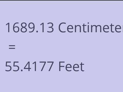 1689.13 CM TO FEET