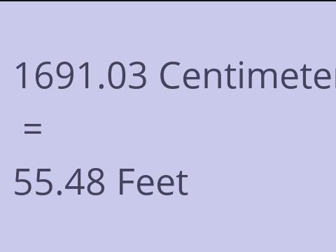 1691.03 CM TO FEET